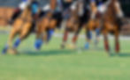 Soft focus Horses and Polo player on the