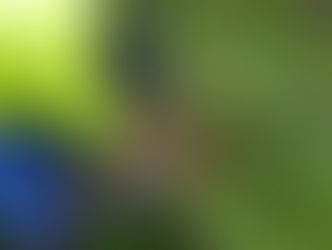 National Nature Photography Day