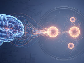 Muted, clinical illustration showing a human brain on the left emitting soft neural signal lines toward a petri dish on the right, where multiple glowing stem-cell–like spheres connect and organize, symbolizing communication, differentiation, and the role of connection in biological and mental health.