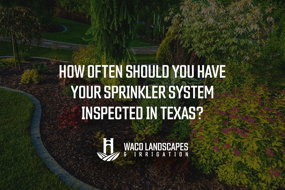 How Often Should You Have Your Sprinkler System Inspected in Texas?