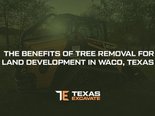 The Benefits of Tree Removal for Land Development in Waco, Texas 