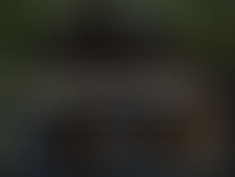 Tiny Home Site Preparation: What to Know Before You Build 