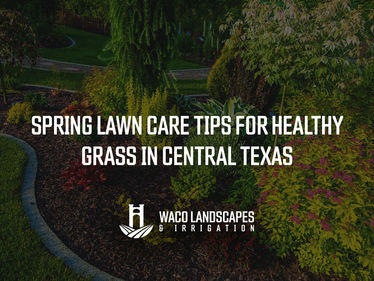 Spring Lawn Care Tips for Healthy Grass in Central Texas