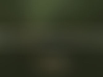 Skid Steer Services In Waco, Texas