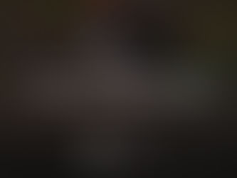 When Is The Best Time To Have My Trees Trimmed In Waco, Texas?