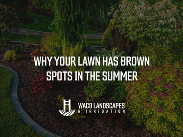 Why Your Lawn Has Brown Spots in the Summer