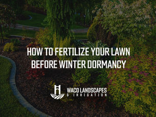 How to Fertilize Your Lawn Before Winter Dormancy