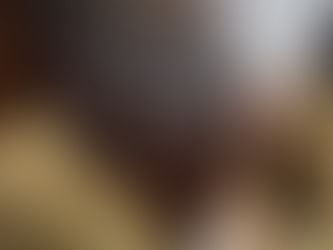 Horse Emergency Care In Waco, Texas