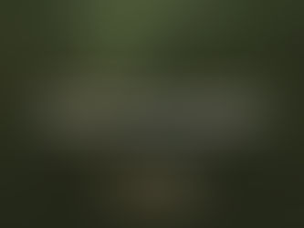 Benefits Of Land Clearing For Land Development