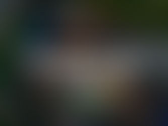 Waco Roofing After the Storm: How to Navigate Insurance Claims for Roof Damage