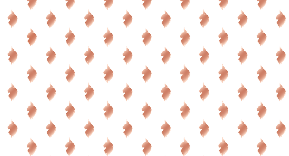 ApsenMaineCoons_Pattern.png