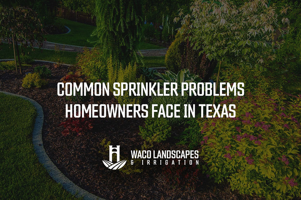 Common Sprinkler Problems Homeowners Face in Texas