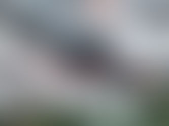 2024.6.24. (月曜日) “외국인노동자外國人勞動者”