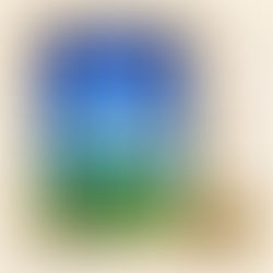  ★8月のぽむ賞が決定しました！