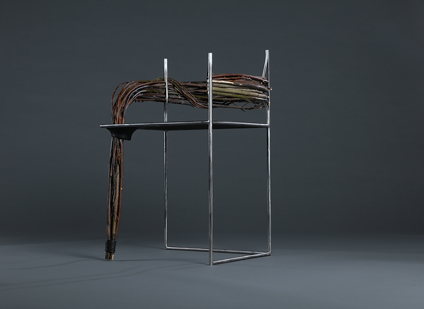 salix 5.png