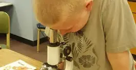 Children’s Museum of Art and Science holds sign ups for May art and science camp