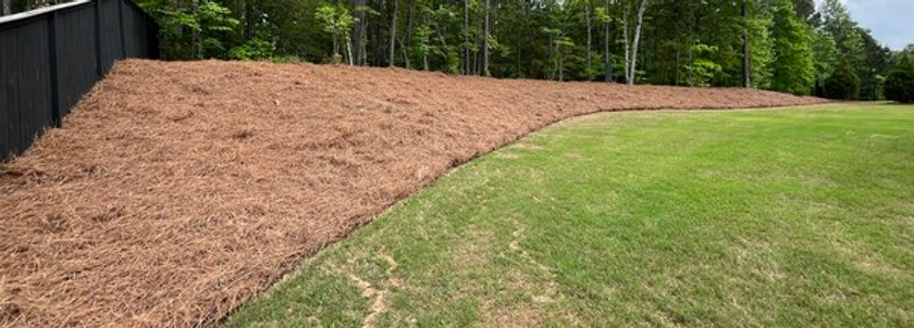 Pine Straw Installation
