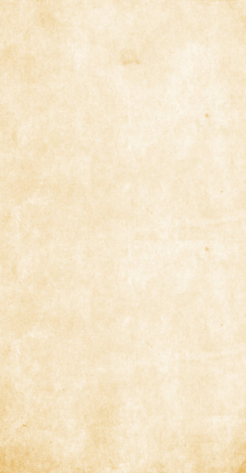 Transport Page 1000w x 1800h paper.png