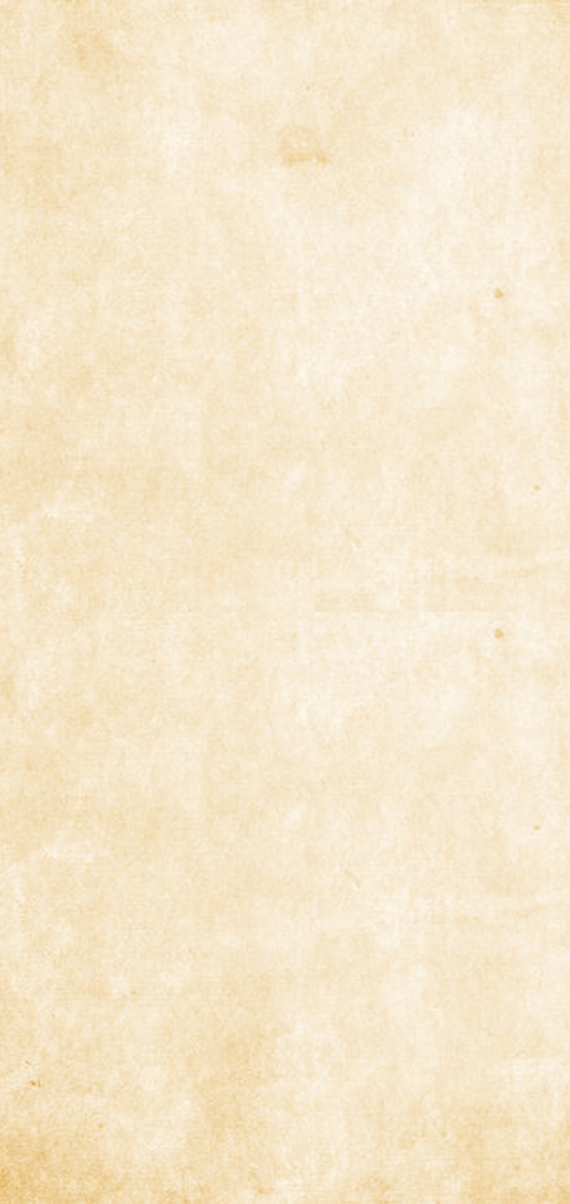 Transport Page 1000w x 1800h paper.png