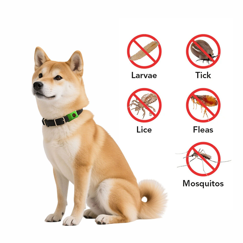 Thumbnail: Natural Anti-Flea & Tick Pendant Oils for Dogs & Cats Collar Wearable Pet Tags w