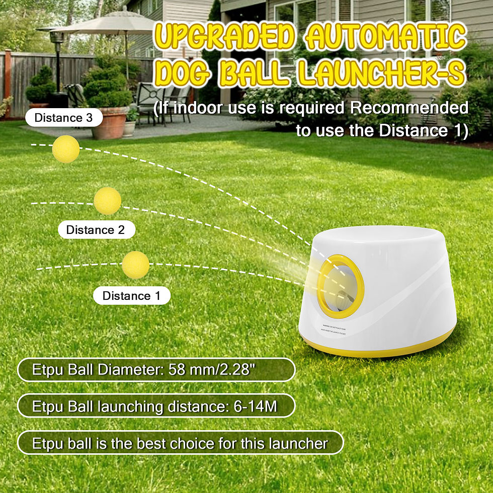 Thumbnail: Next-Gen Automatic Dog Ball Launcher,Interactive Dog Tennis Ball thrower With 5 