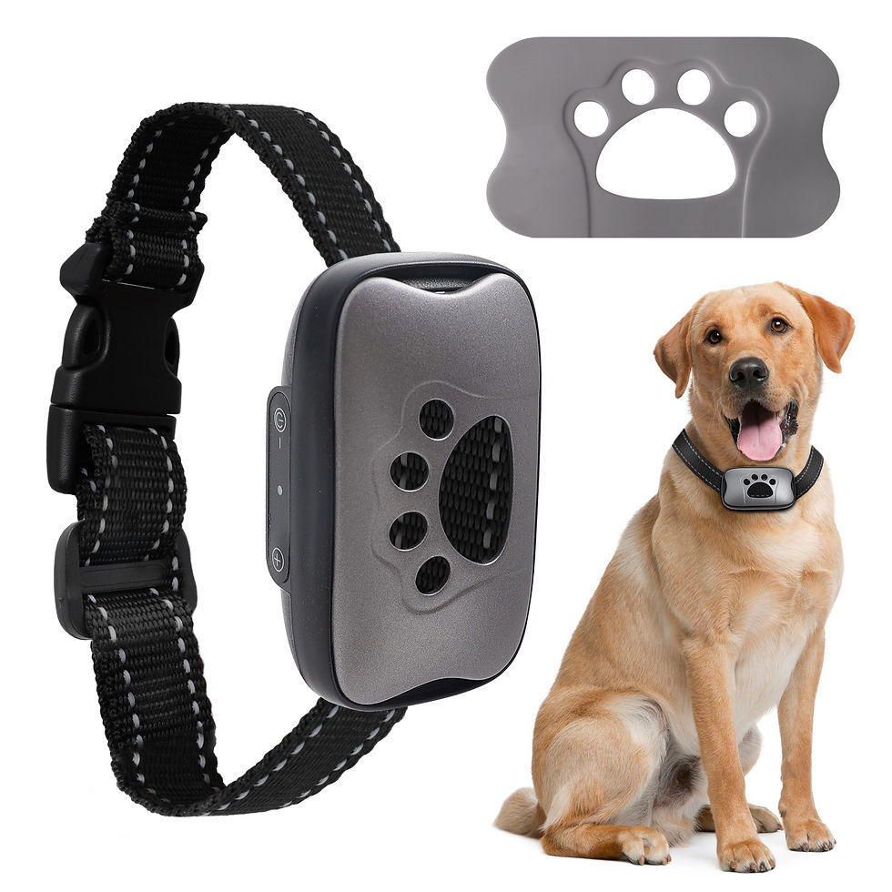 Thumbnail: Pet Dog Anti Barking Device USB Rechargeable Dogs Training Collar Ultrasonic Sto