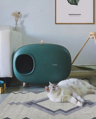 Makesure-cat-litter-box-640x636.jpg