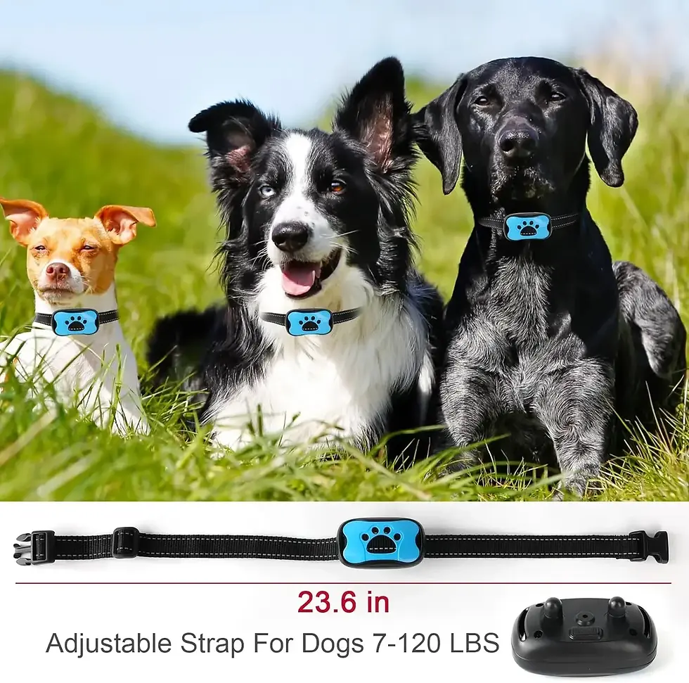 Thumbnail: Pet Dog Anti Barking Device USB Rechargeable Dogs Training Collar Ultrasonic Sto