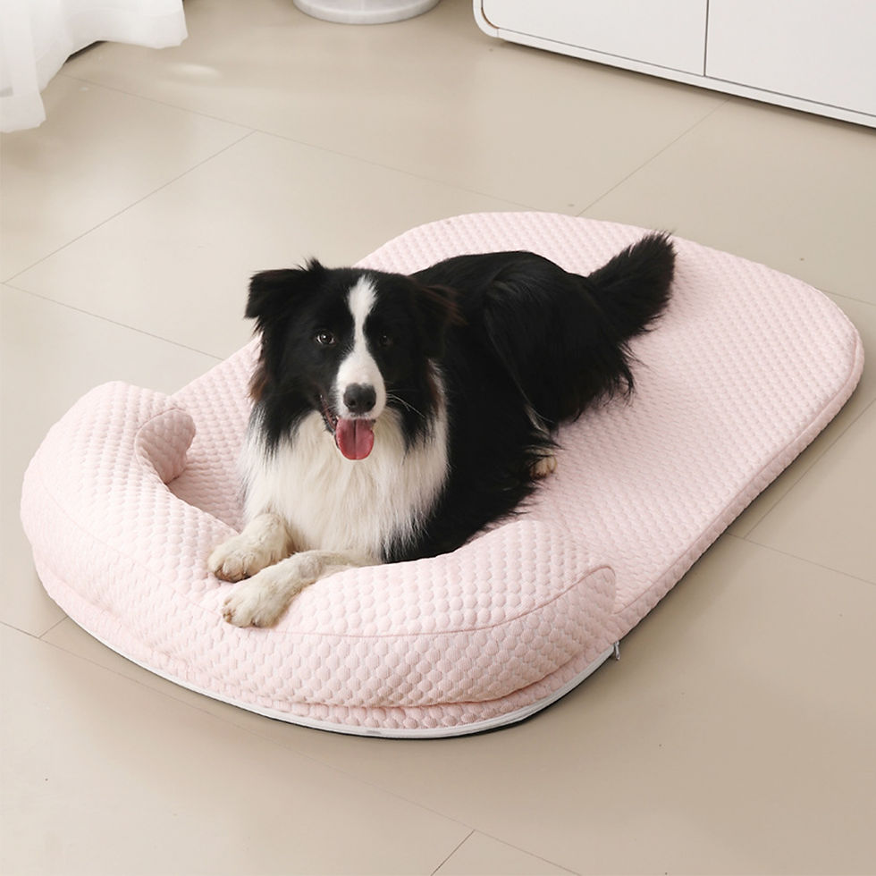 Thumbnail: Breathable Spring Summer Cooling Large Dog Bed Ati-slip Cat Bed with Pillow Ice 
