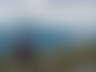 The Regenerative Power of Human Connection