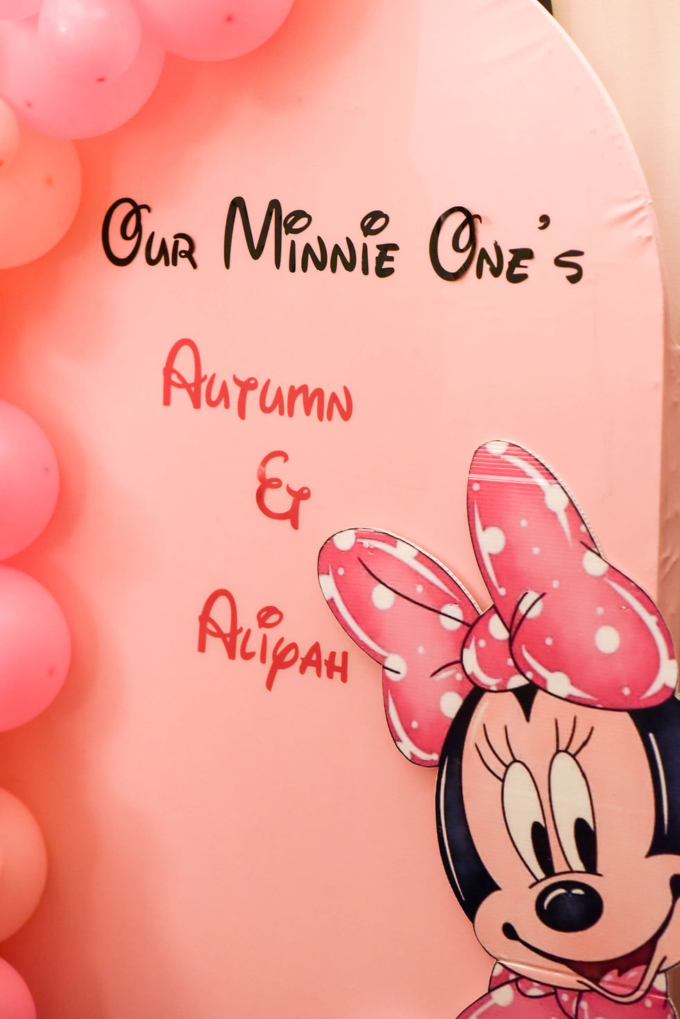 My niece's 1st Birthday