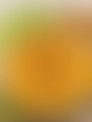 Bean Free Pumpkin Hummus