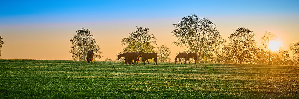 iStock-1396899018.jpg