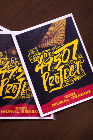 Ecommerce for The Diatribe's #The49507Project's coffee table book.