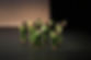 TMMDance_14887.jpg