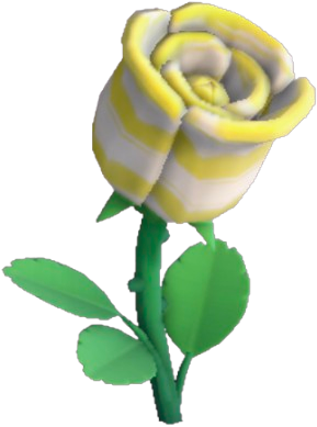 Yellow & White Ring Rose