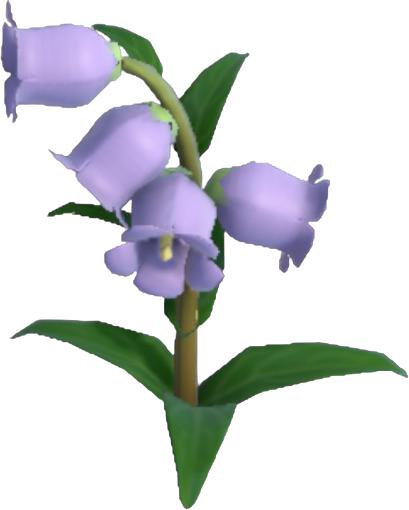 Periwinkle Bellbutton