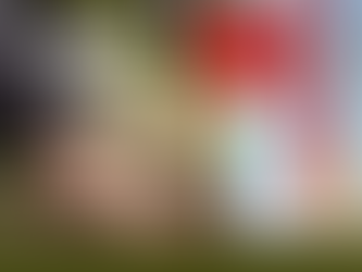 Silvester-Aktion "Bäume statt Böller"