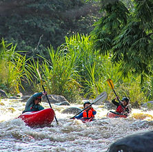 IMG-20230705-WA0173_edited.jpg