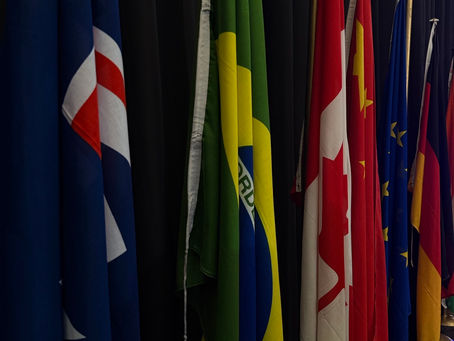 Economics of Amnesia: Reflections from South Africa