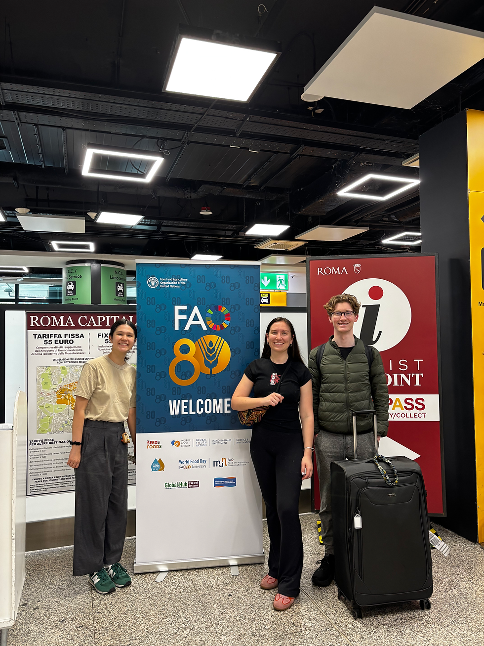 Unapologetically Young: A Global Voices Reflection