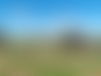 From Potential to Practice: Scaling Australia’s Nature Repair Market