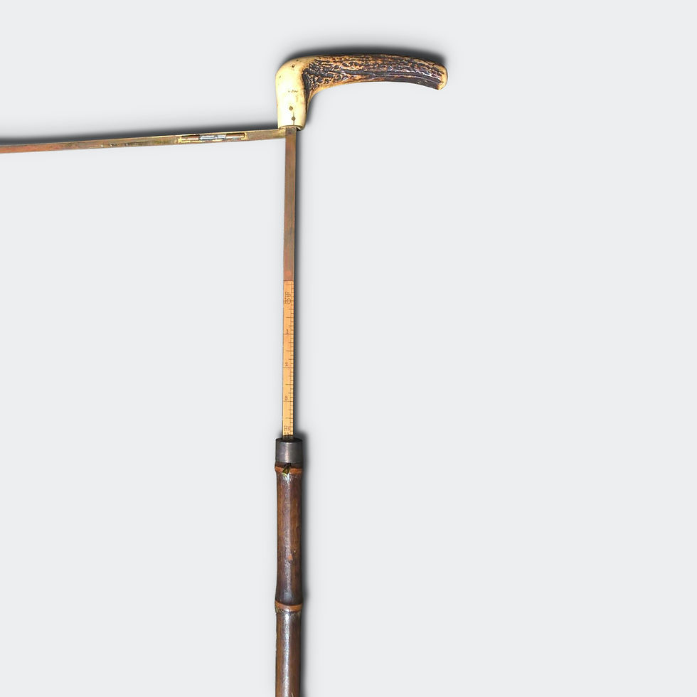 Victorian bamboo Horse Measuring walking Stick-J Lett