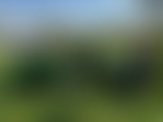 Vereinsmeisterschaft 2025 – Sport, Sonne und Gemeinschaft