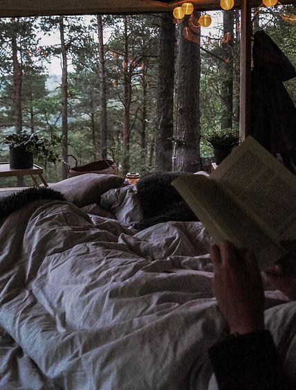 Views from insdide the panorama hut