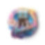 11Elevation Logo_edited.jpg