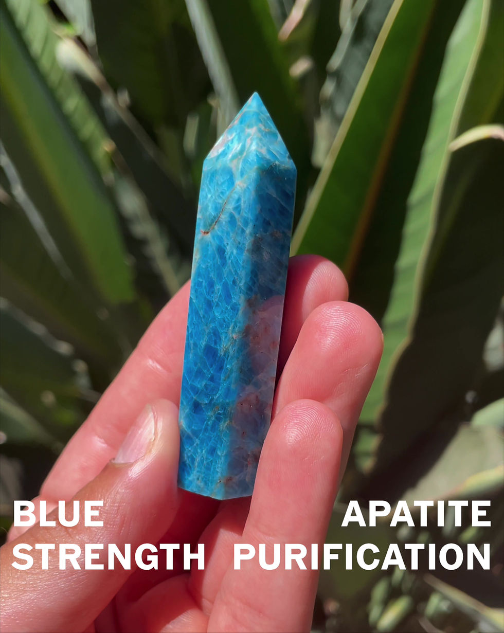 Thumbnail: 1101 COLLECTION