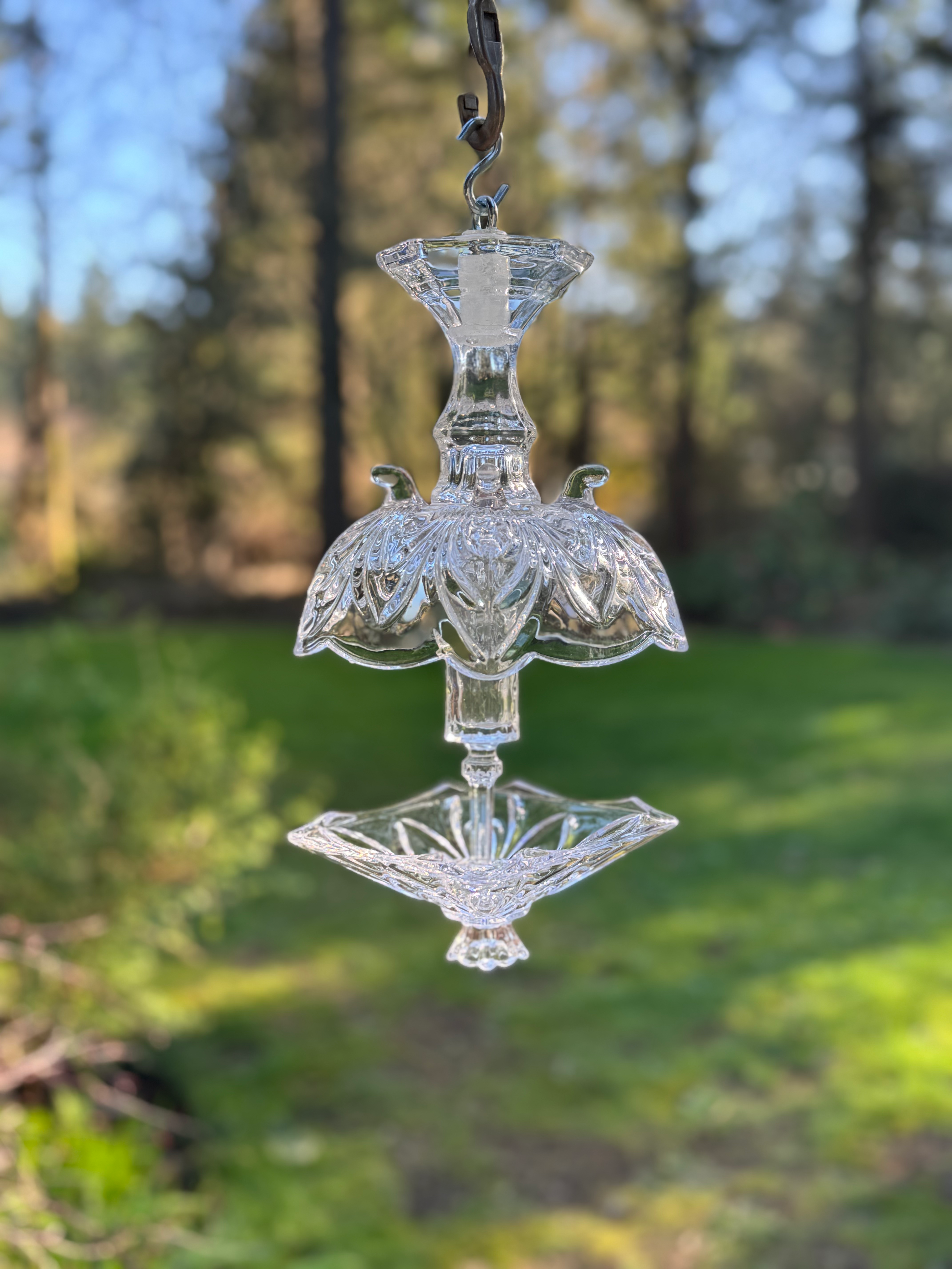 Petal Crown Crystal hanging outdoors