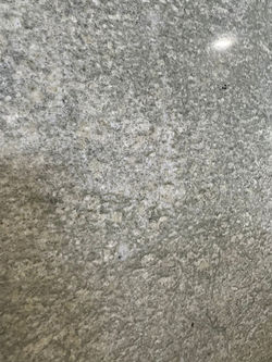 Coast Green Sample