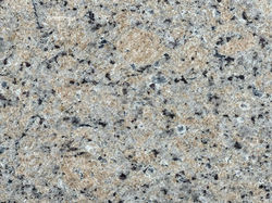 Contesa Light Sample